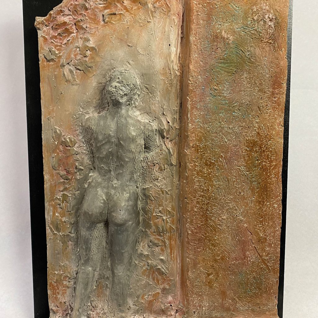 43 x 29 x 5,0 cm
